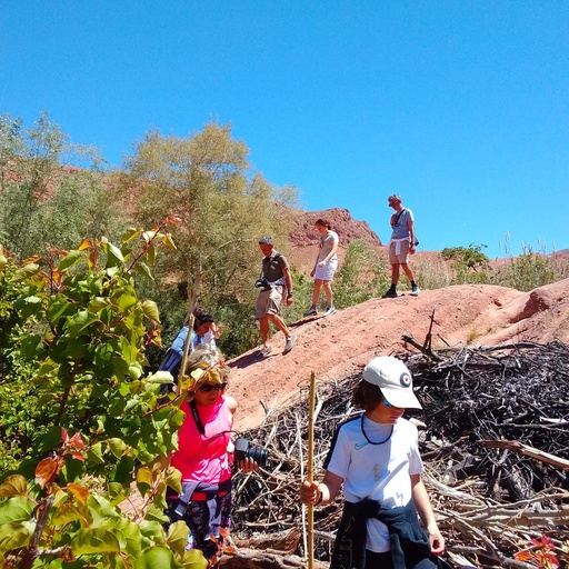 Gorges du Dadès: Scenic Valley & Canyon Discovery